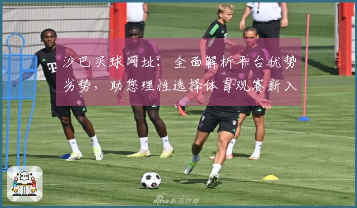 沙巴买球网址：全面解析平台优势劣势，助您理性选择体育观赛新入口